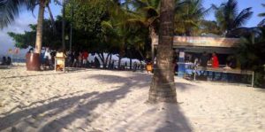 Caribbean beach bar Larger Group Accommodation